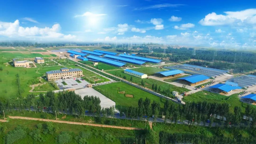 花花牛丨河南農(nóng)業(yè)大學(xué)黨委副書記、校長介曉磊一行蒞臨花花牛河南瑞亞參觀調(diào)研