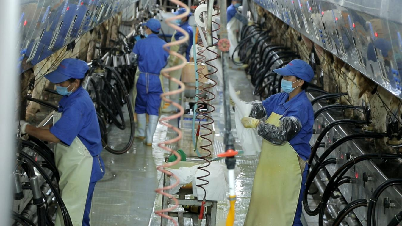 花花牛丨河南農(nóng)業(yè)大學(xué)黨委副書記、校長介曉磊一行蒞臨花花牛河南瑞亞參觀調(diào)研