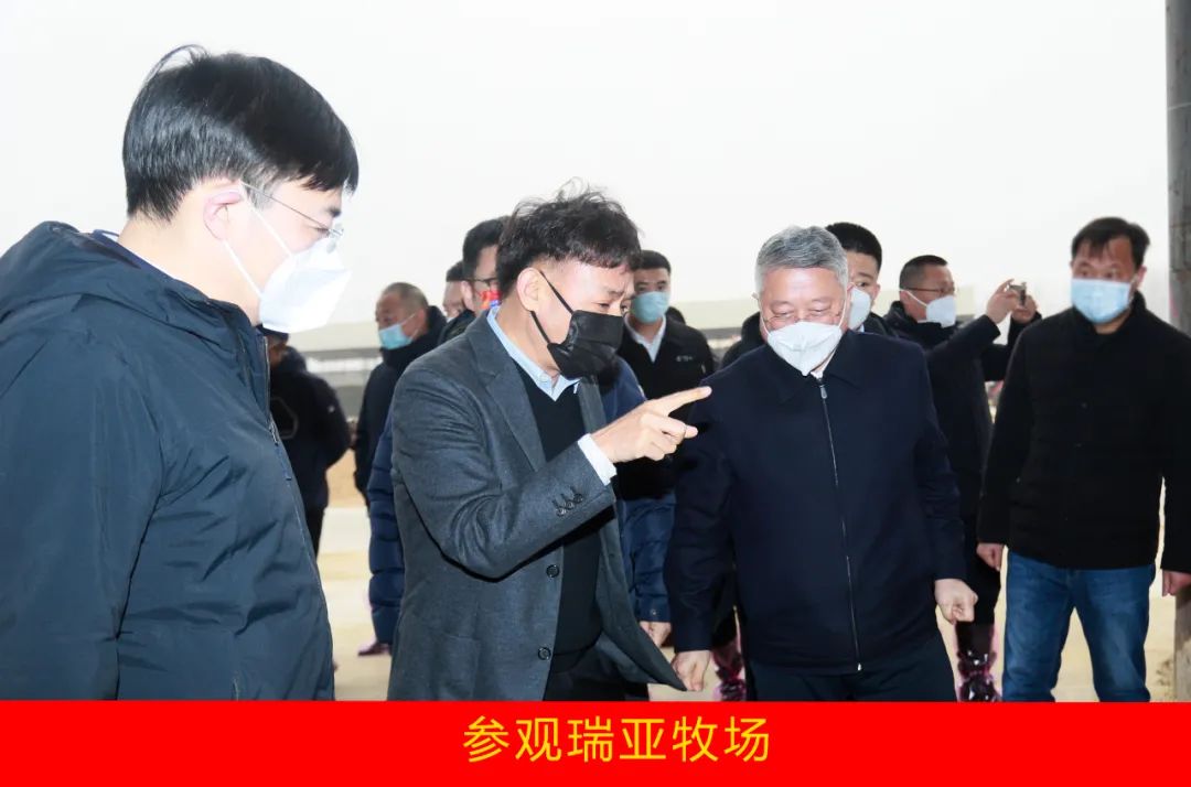 新年開新局 合作促發(fā)展丨佳木斯市委常委、副市長閆志剛一行蒞臨花花牛乳業(yè)集團及佳田企業(yè)考察座談