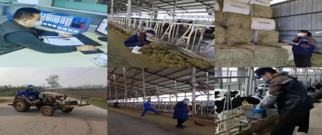 @全體花花牛人：請珍惜你的崗位，請善待我們共同的“花花牛”！