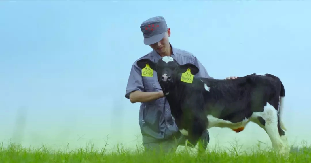 河南省人大常委會黨組書記、副主任孔昌生蒞臨花花牛魯山瑞亞牧場參觀調(diào)研
