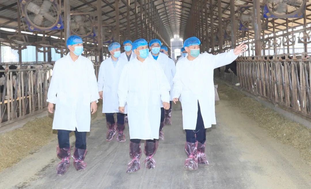 快訊丨河南省人民政府副省長武國定蒞臨花花牛乳業(yè)集團瑞亞牧業(yè)調(diào)研奶源基地建設情況 快訊丨河南省人民政府副省長武國定蒞臨花花牛乳業(yè)集團瑞亞牧業(yè)調(diào)研奶源基地建設情況