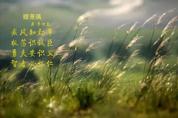 花花牛 | 疾風(fēng)來(lái)臨，你是不是勁草？