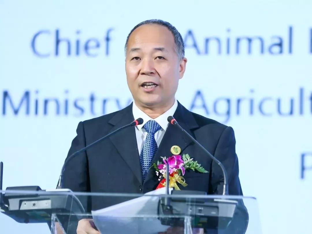 SDDDC走進(jìn)河南，看看花花牛的國(guó)際范兒！