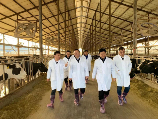 寧夏回族自治區(qū)農(nóng)業(yè)農(nóng)村廳黨組書記、廳長王剛一行蒞臨花花牛乳業(yè)集團(tuán)調(diào)研