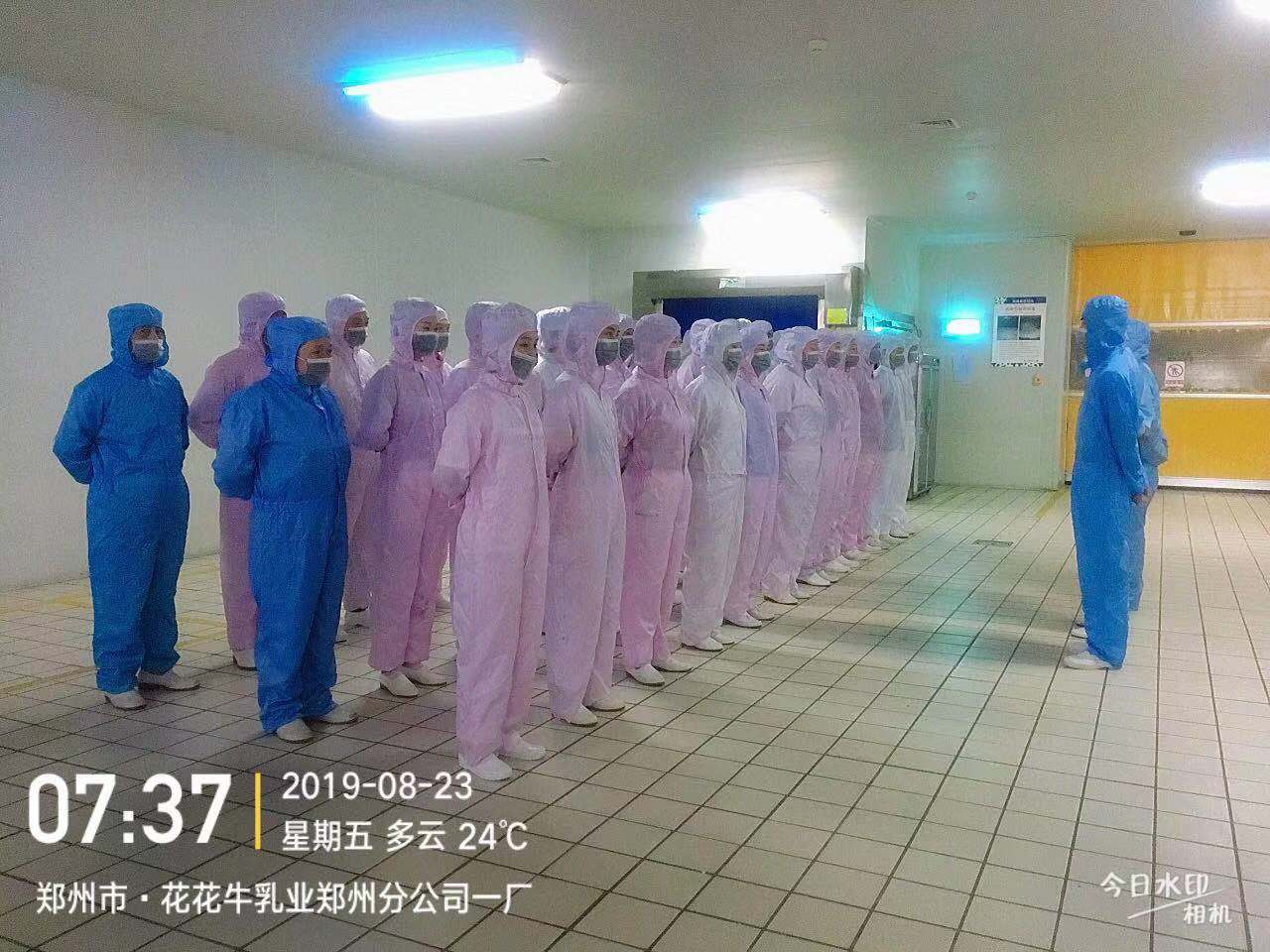 小晨會·大能量——砥礪奮進(jìn)的花花牛，加油！