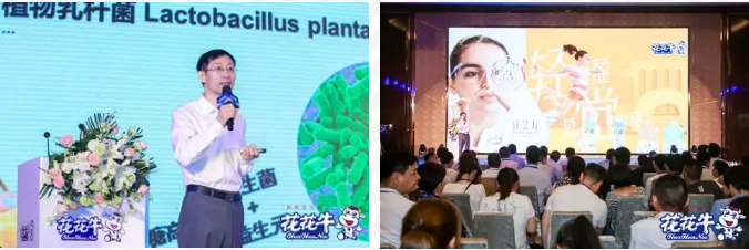 花花牛輕覺上市暨優(yōu)質(zhì)乳工程認(rèn)證發(fā)布會(huì)，盛大啟幕！