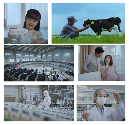 花花牛亮相中國奶業(yè)20強呼倫貝爾峰會，共話中國奶業(yè)振興！