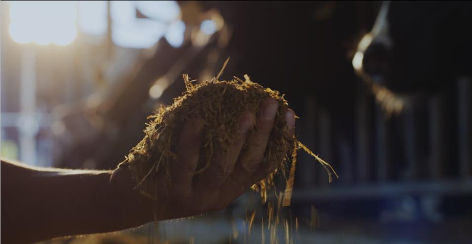 又雙叒叕獲獎(jiǎng)啦！花花牛榮獲“乳品質(zhì)量安全管理 優(yōu)秀企業(yè)”