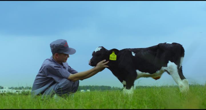 又雙叒叕獲獎(jiǎng)啦！花花牛榮獲“乳品質(zhì)量安全管理 優(yōu)秀企業(yè)”