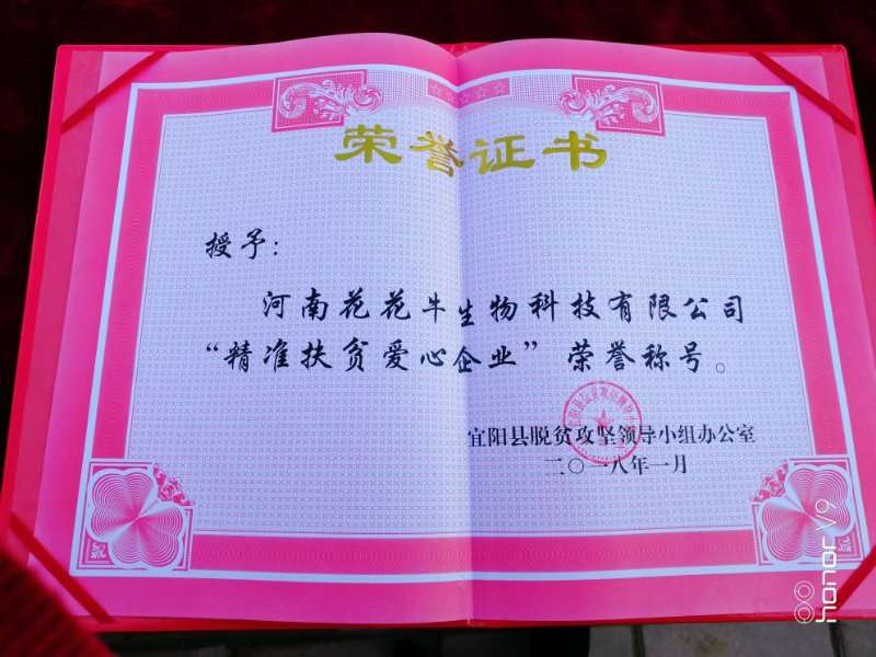 關(guān)愛成長 相伴未來——精準(zhǔn)扶貧“暖冬公益行”走進(jìn)宜陽縣白楊鎮(zhèn) 關(guān)愛成長 相伴未來——精準(zhǔn)扶貧“暖冬公益行”走進(jìn)宜陽縣白楊鎮(zhèn)