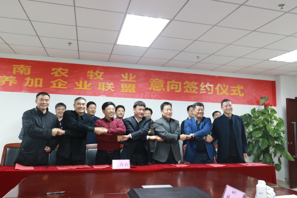 涉農(nóng)企業(yè)強(qiáng)強(qiáng)聯(lián)合，“抱團(tuán)取暖”共迎企業(yè)發(fā)展的春天