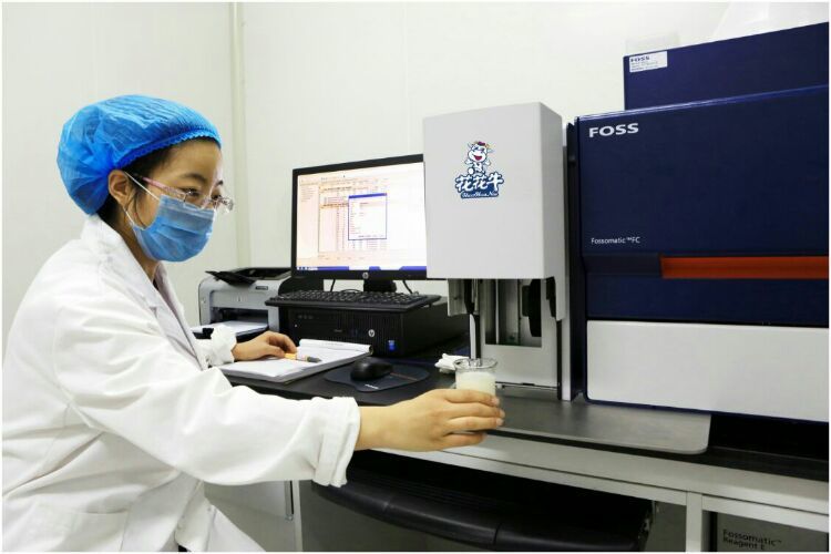 花花牛：務(wù)實、創(chuàng)新領(lǐng)潮市場 大企業(yè)體現(xiàn)大擔當